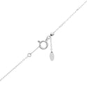 Pt900 Diamond PN