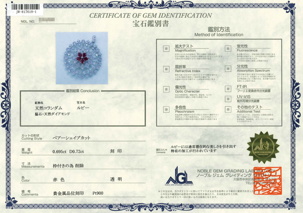 Pt900 Ruby PN