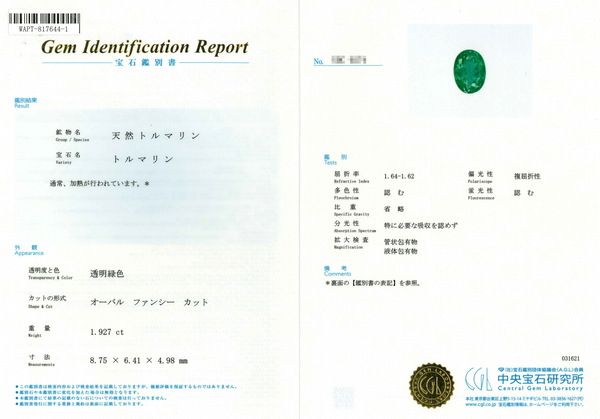 Pt900 Paraiba Tourmaline R