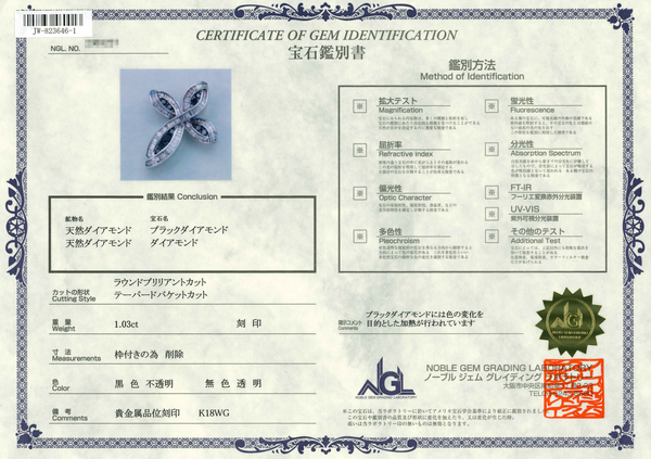 K18WG Diamond PN