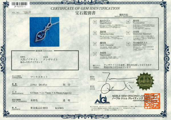 K18WG Tanzanite PN