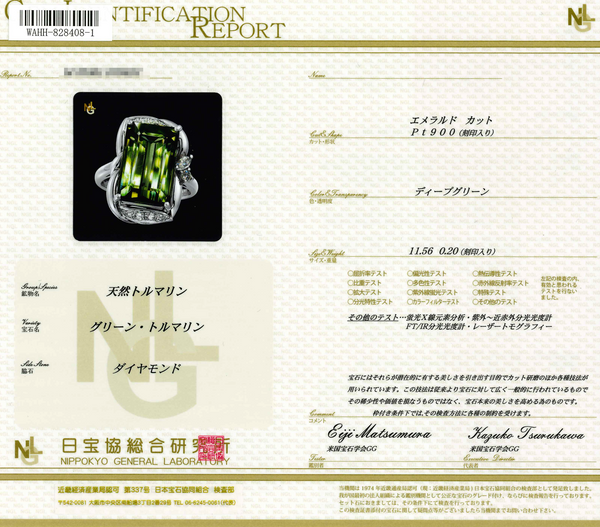 Pt900 Tourmaline R