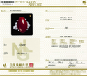 Pt900 Corallium rubrum R