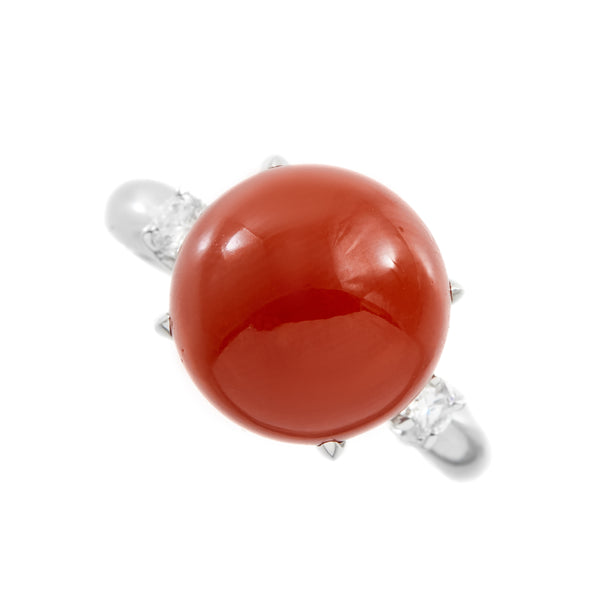 Pt900 Corallium rubrum R