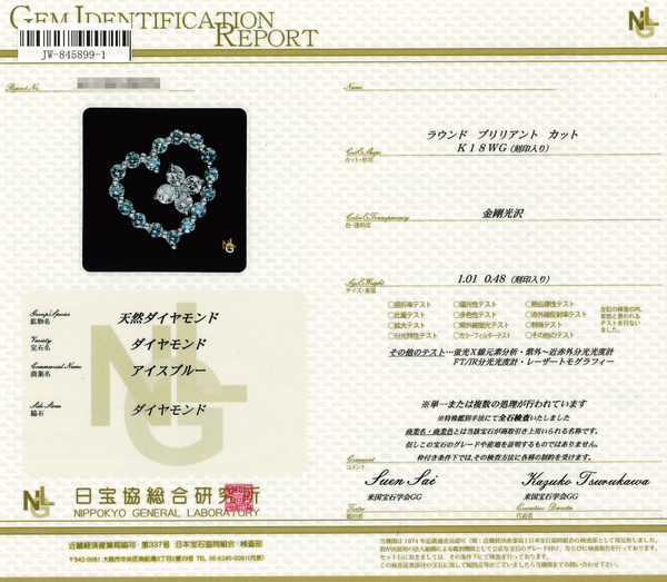 K18WG Diamond PN