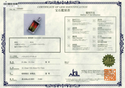 Pt900 Bicolor Tourmaline PN