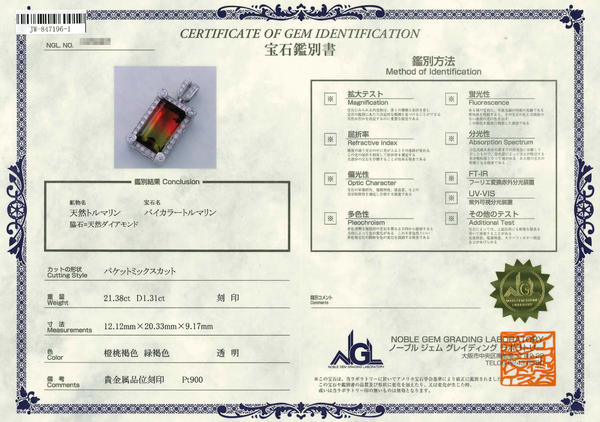 Pt900 Bicolor Tourmaline PN