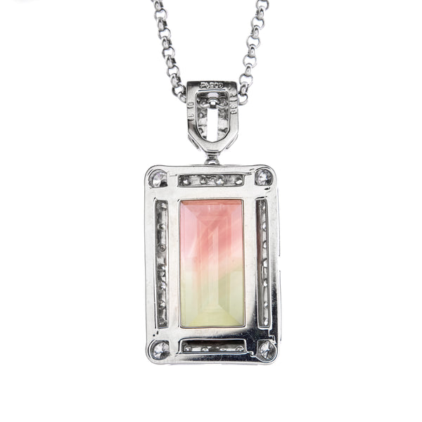 Pt900 Bicolor Tourmaline PN