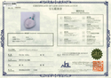 Pt900 Coin PN