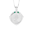 Pt900 Coin PN