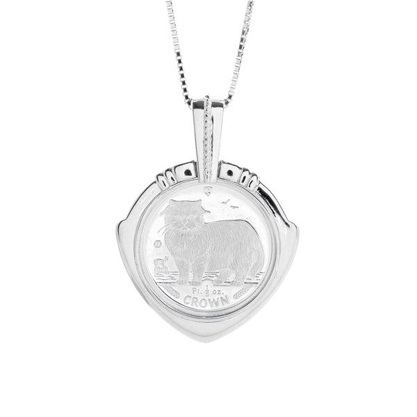 Pt900 Coin PN