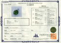 K18WG Peridot PN