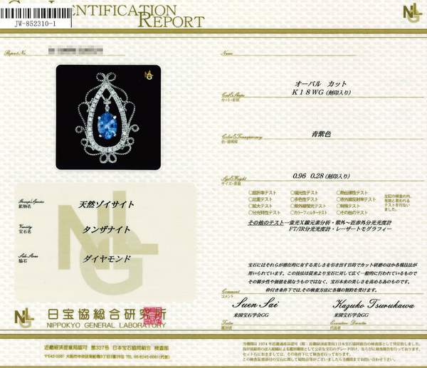 K18WG Tanzanite PN