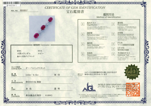 K18WG Ruby PN