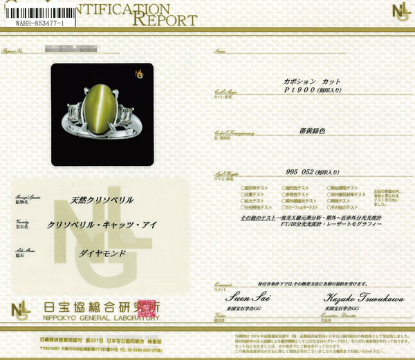 Pt900 Cat's Eye R