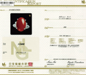Pt900 Corallium rubrum R