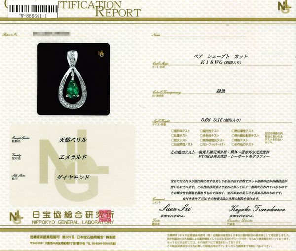 K18WG Emerald PN