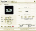 Pt900 Cat's Eye R