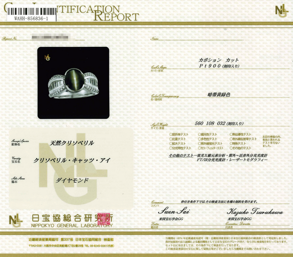 Pt900 Cat's Eye R