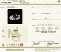 Pt900 Corallium rubrum R
