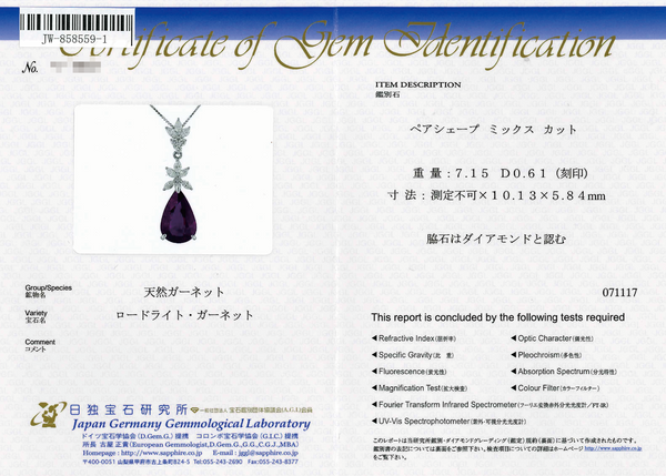 Pt900 R Garnet PN