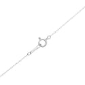 Pt900 Diamond PN