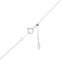 K18WG Diamond PN