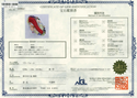 K18/K18WG/Pt900 Corallium rubrum R