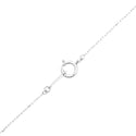 K18WG Diamond PN