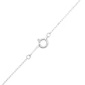 K18WG Diamond PN