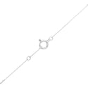 K18WG Diamond PN