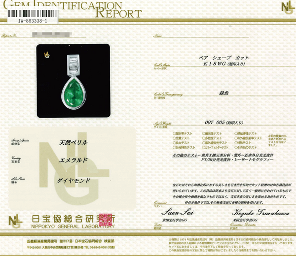 K18WG Emerald PN