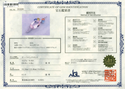 K18WG Morganite PN