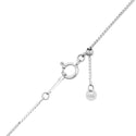 Pt900 Diamond PN