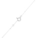K18WG Diamond PN