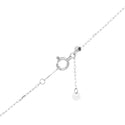 K18WG Diamond PN