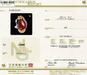 K18Pt Corallium rubrum R