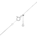 K18WG Diamond PN