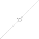 K18WG Diamond PN