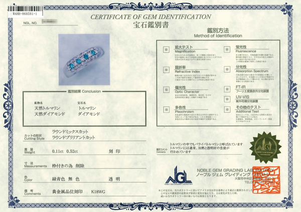 K18WG Paraiba Tourmaline R