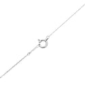 Pt900 Diamond PN