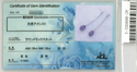 K18WG Amethyst Ps