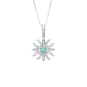K18WG Paraiba Tourmaline PN