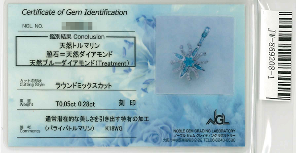 K18WG Paraiba Tourmaline PN