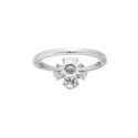 Pt900 Diamond R