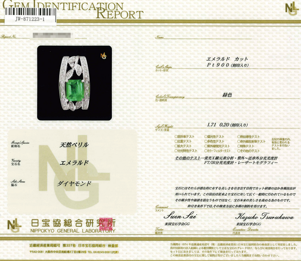 Pt900 Emerald PN