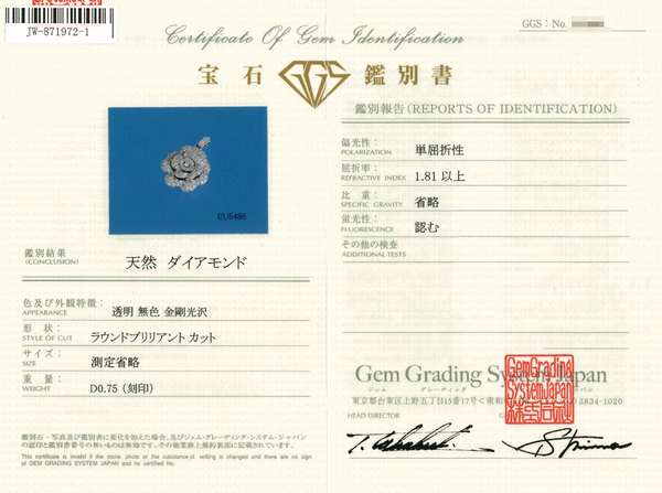 K18WG Diamond PN