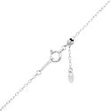 K18WG Diamond PN