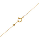 K18 Diamond PN