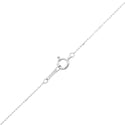 Pt900 Diamond PN